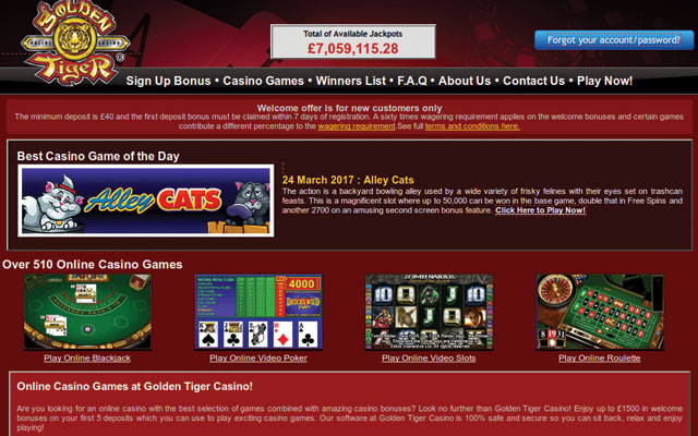 Online Casino -702359